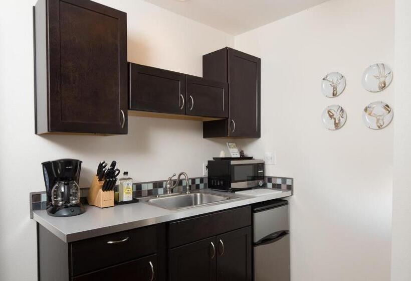 스탠다드 스튜디오, Flora And Fauna