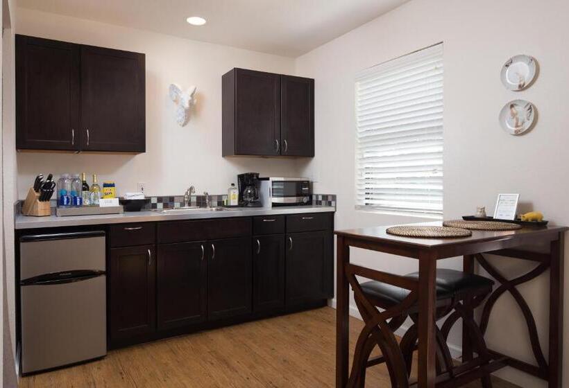 스탠다드 스튜디오 정원 전망, Flora And Fauna