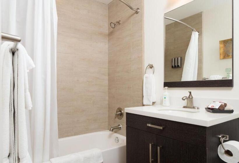 스탠다드 스튜디오, Flora And Fauna