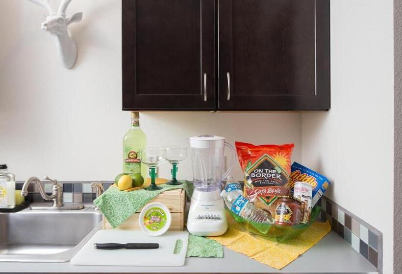 스탠다드 스튜디오, Flora And Fauna