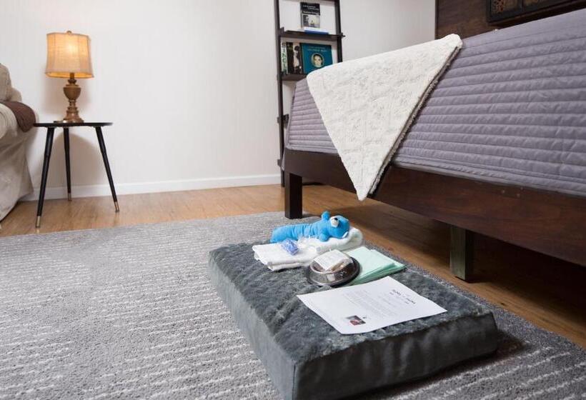 수피리어 스튜디오, Flora And Fauna