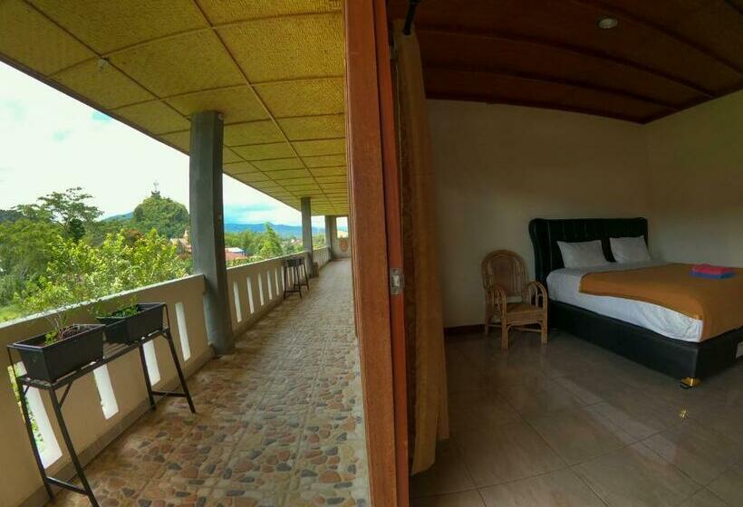 スタンダードルーム, Pias Poppies