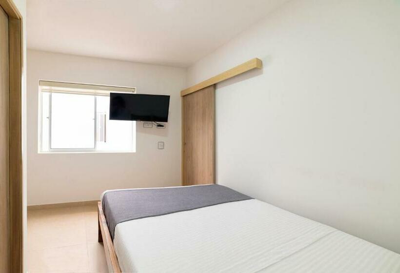 Номер Стандарт, Ayenda 1240 Megua