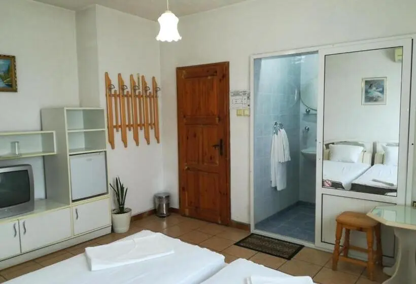 Standard-huone, Family Hotel George