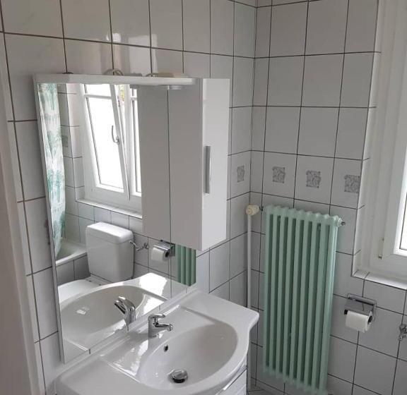 Номер Стандарт Индивидуальный, Chambres Meublées Prilly Lausanne