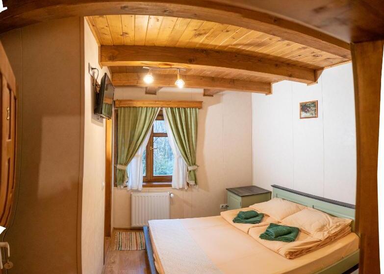 חדר דלוקס, Pensiunea Vanatorul