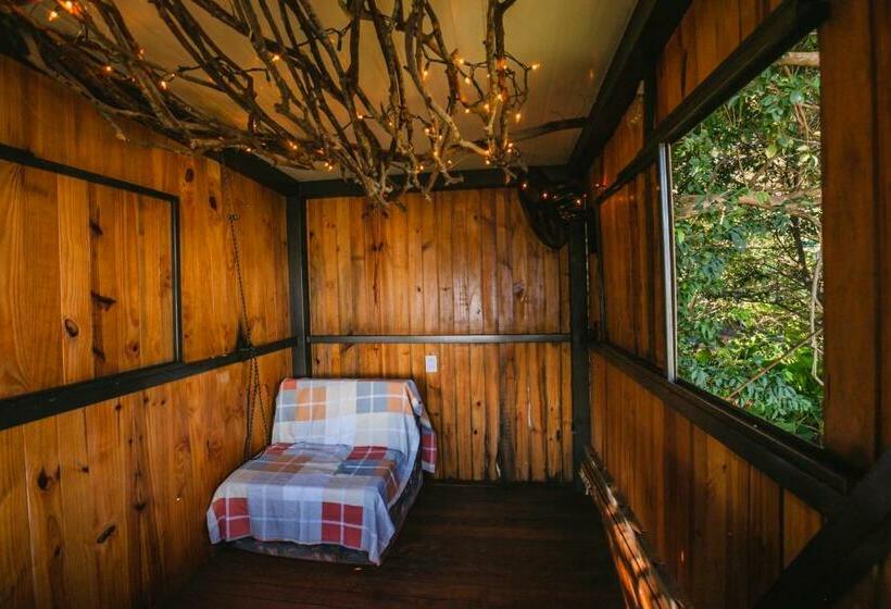 اتاق استاندارد یک تخته با سرویس بهداشتی مشترک, La Wayaba