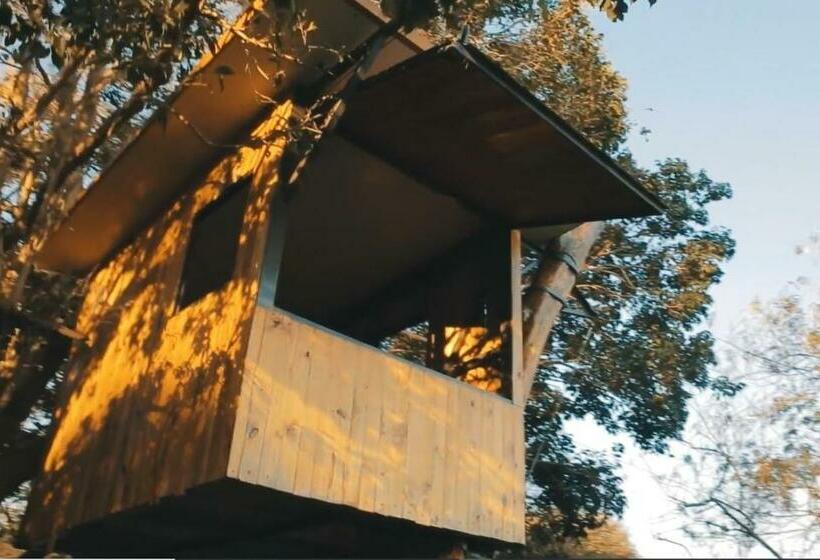 اتاق استاندارد یک تخته با سرویس بهداشتی مشترک, La Wayaba