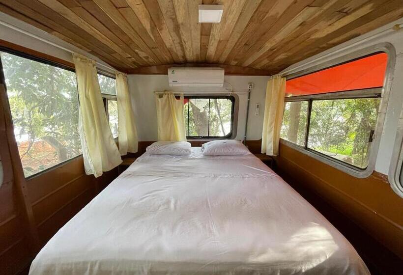 اتاق استاندارد, La Wayaba