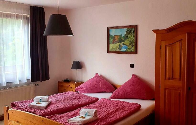 スタンダードシングルルーム, Grüner Baum