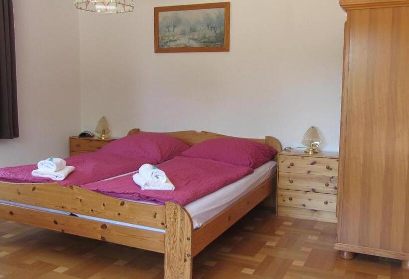 スタンダードシングルルーム, Grüner Baum