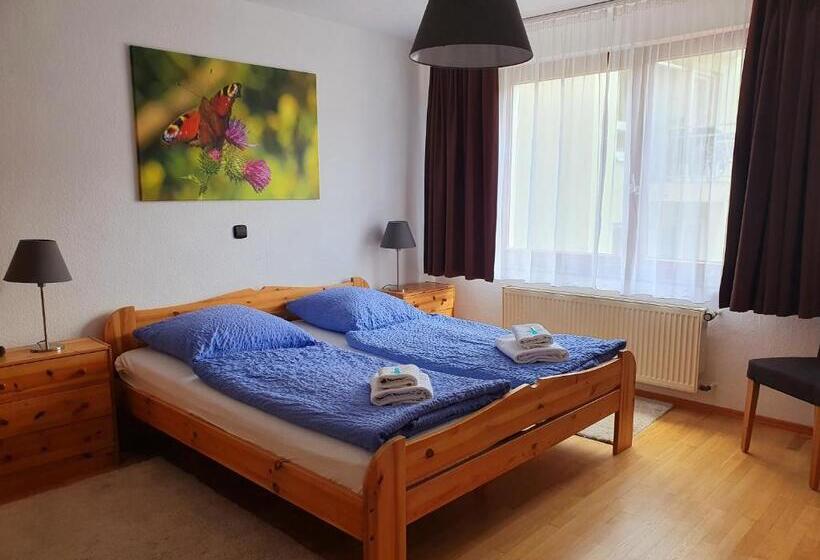 スタンダードシングルルーム, Grüner Baum