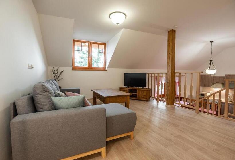 דירת דופלקס בת חדר שינה 1, Penzion Hluk