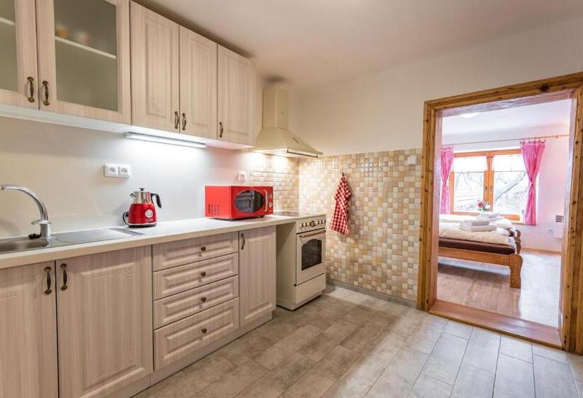 דירת חדר, Penzion Hluk