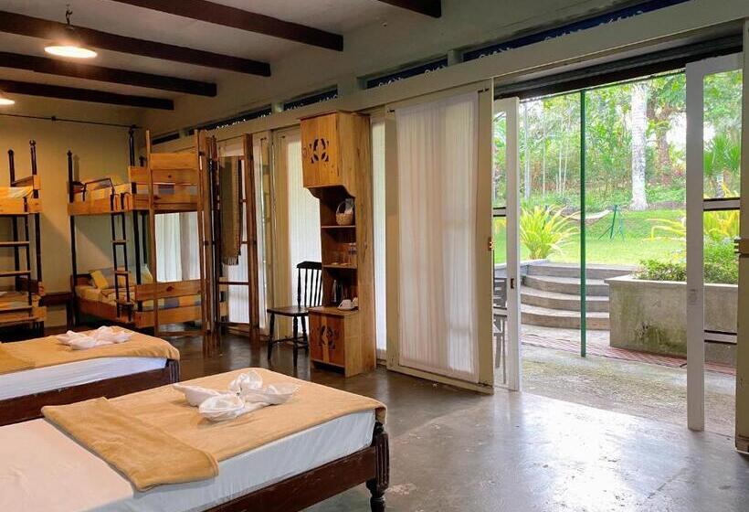 프리미엄 4인룸, Casa San Pablo B & B