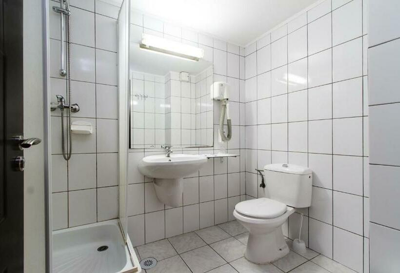 غرفة قياسية, Complex Balnear Cozia