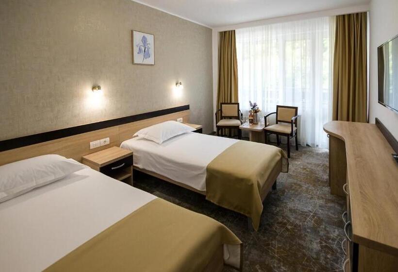 غرفة سوبيريور, Complex Balnear Cozia