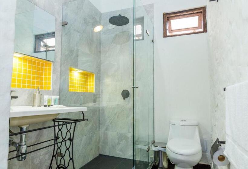 Номер Стандарт, Mulato