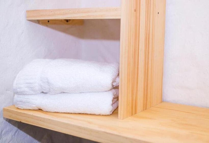 Номер Стандарт, Mulato