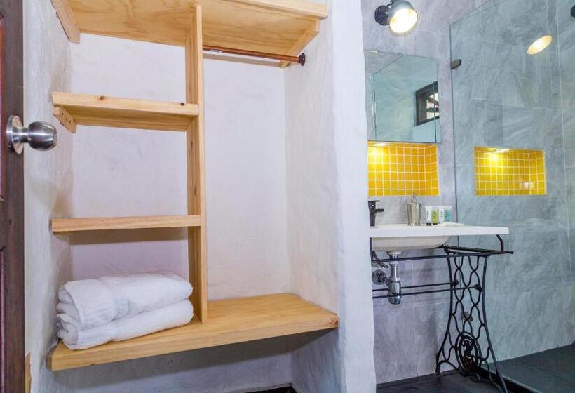 Номер Стандарт, Mulato