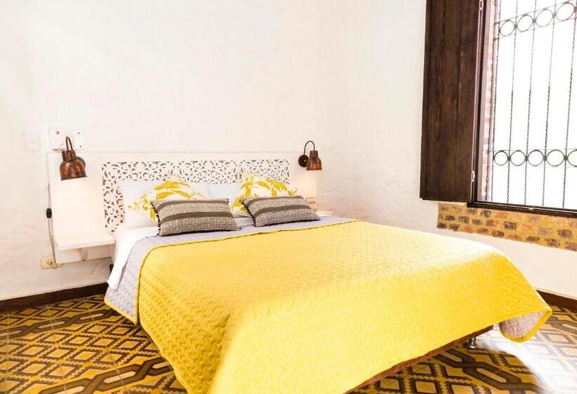 Номер Стандарт, Mulato