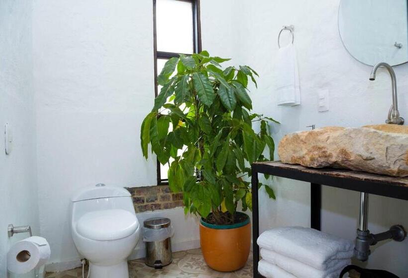 Номер Стандарт, Mulato