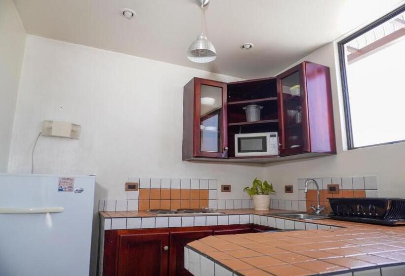 דירת חדר, Oro Apart