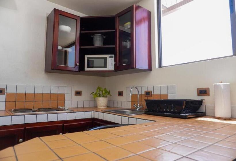 דירת חדר, Oro Apart