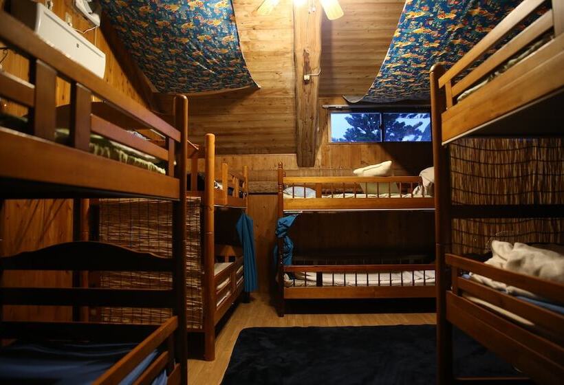 Кровать в Общей Комнате, Guest House Long Island   Hostel