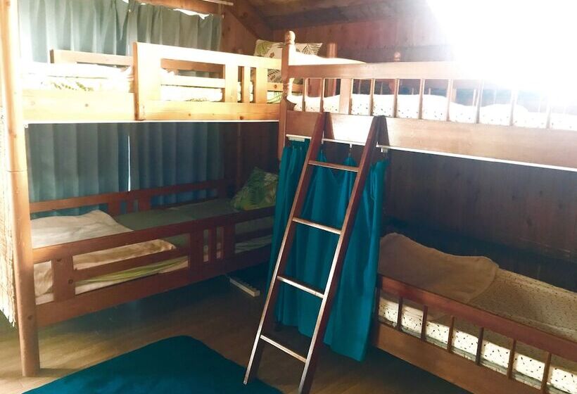 Кровать в Общей Комнате, Guest House Long Island   Hostel