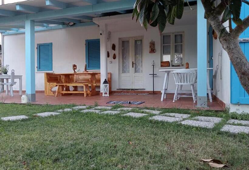 חדר סטנדרט, Free Zone