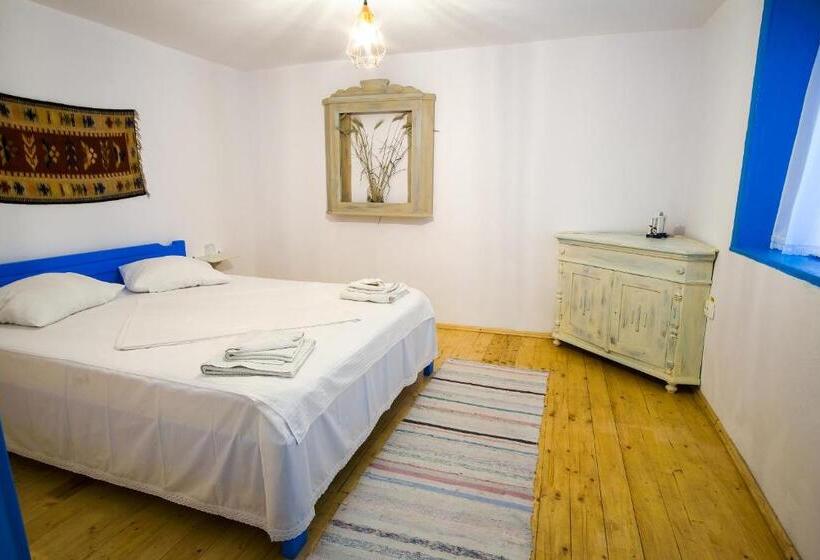 스탠다드 스튜디오, La Lipoveni