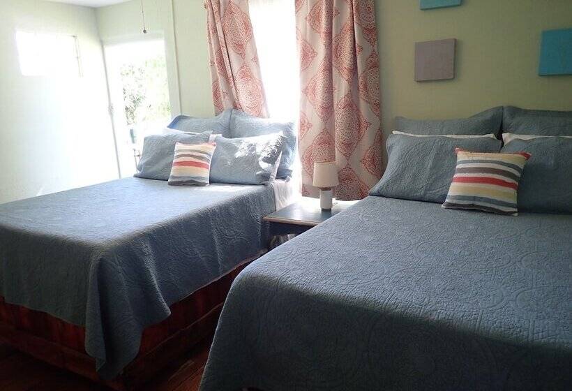 اتاق لوکس با چشمانداز دریا, The Vieques Guesthouse