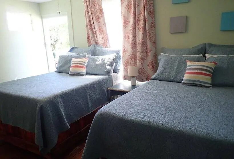 اتاق لوکس با چشم‌انداز دریا, The Vieques Guesthouse