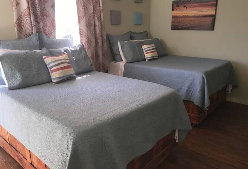 اتاق لوکس با چشمانداز دریا, The Vieques Guesthouse