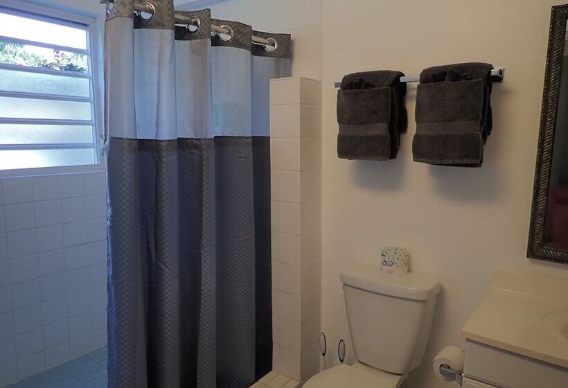 اتاق لوکس, The Vieques Guesthouse