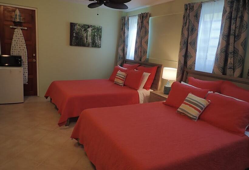 اتاق لوکس, The Vieques Guesthouse