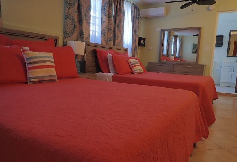 اتاق لوکس, The Vieques Guesthouse