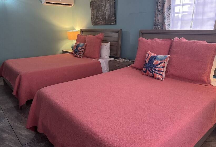 اتاق لوکس, The Vieques Guesthouse