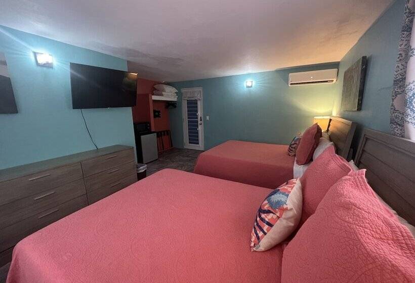 اتاق لوکس, The Vieques Guesthouse