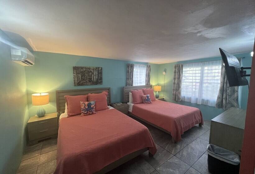 اتاق لوکس, The Vieques Guesthouse