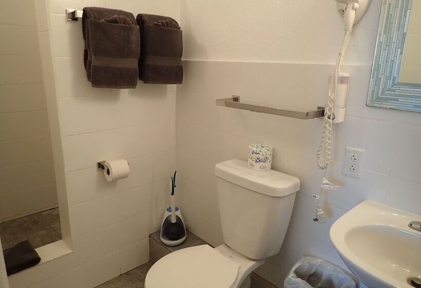 اتاق لوکس یک تخته, The Vieques Guesthouse