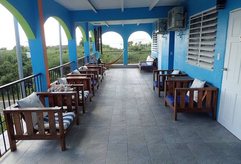 اتاق لوکس یک تخته, The Vieques Guesthouse