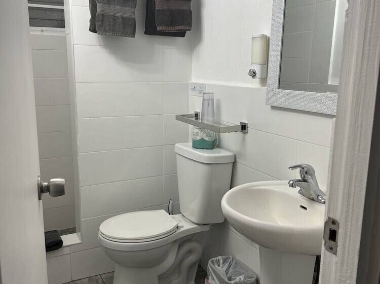 اتاق لوکس یک تخته, The Vieques Guesthouse