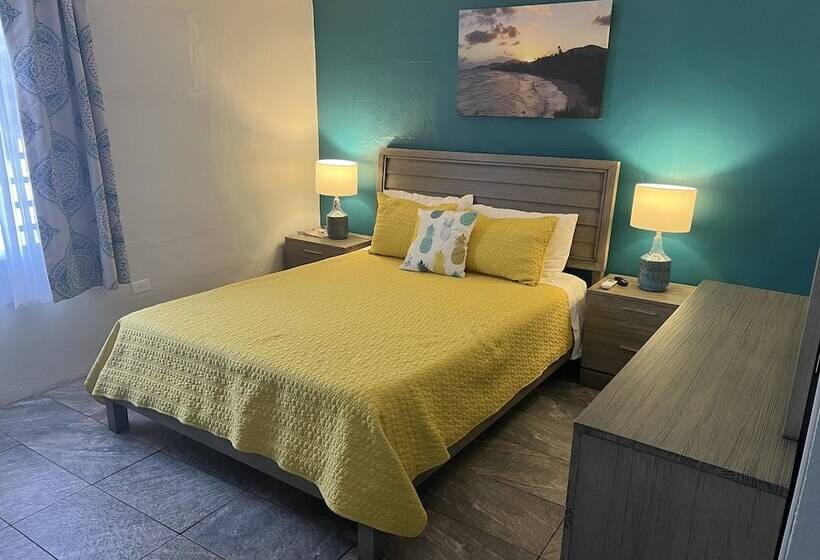 اتاق لوکس یک تخته, The Vieques Guesthouse