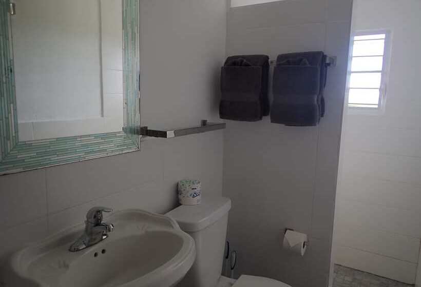 اتاق لوکس یک تخته, The Vieques Guesthouse