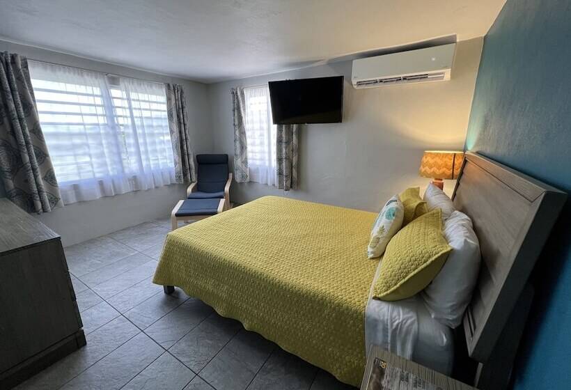 اتاق لوکس یک تخته, The Vieques Guesthouse
