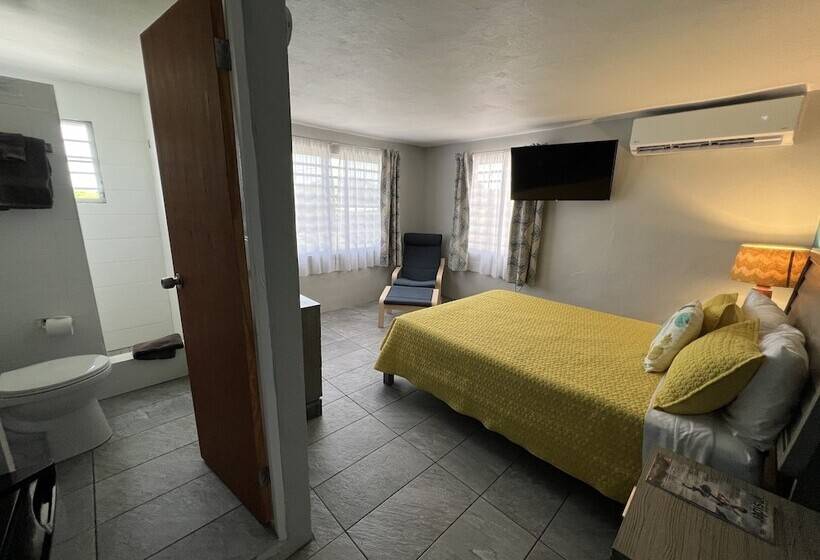 اتاق لوکس یک تخته, The Vieques Guesthouse
