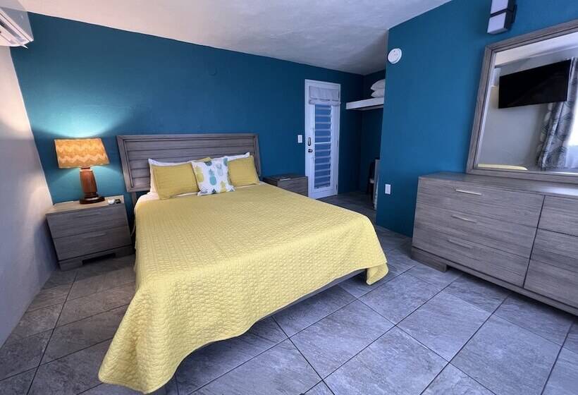 اتاق لوکس یک تخته, The Vieques Guesthouse