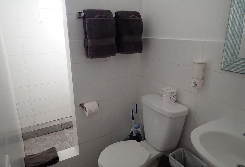 اتاق لوکس یک تخته, The Vieques Guesthouse